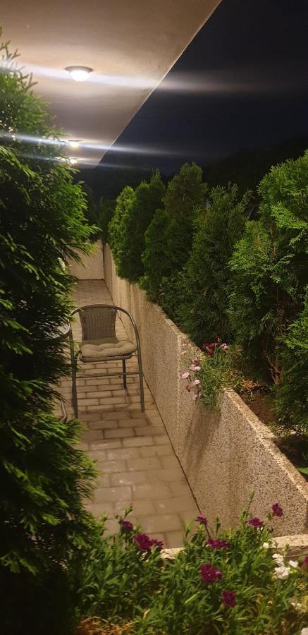 Voluntari Pipera Central מראה חיצוני תמונה